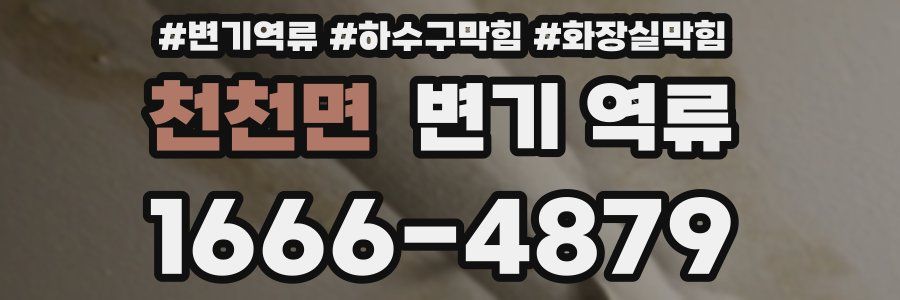 천천면 변기 역류