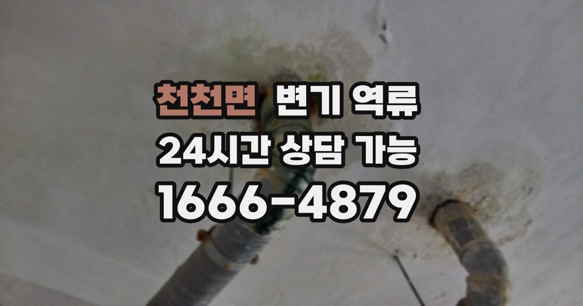 천천면 변기 역류