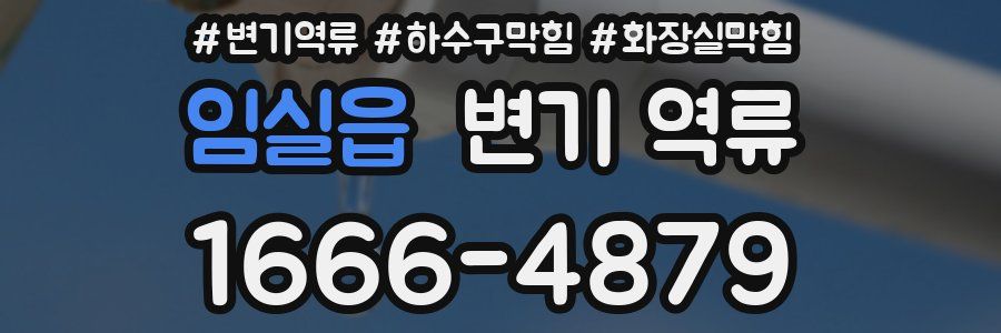 임실읍 변기 역류