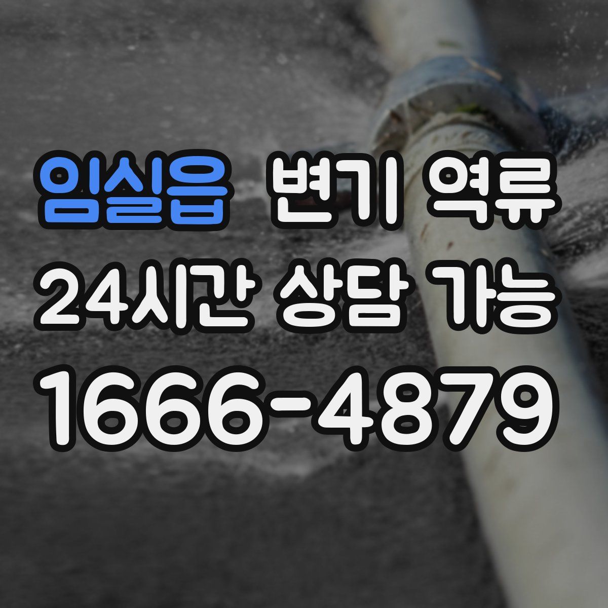 임실읍 변기 역류