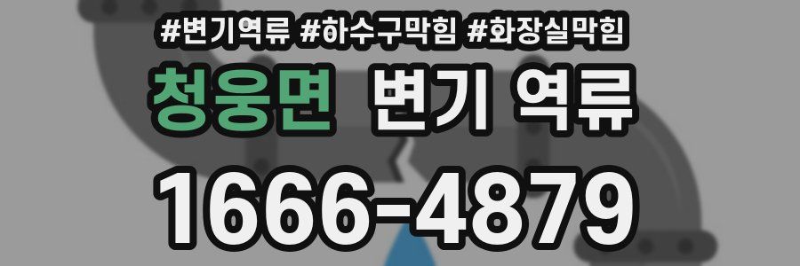 청웅면 변기 역류