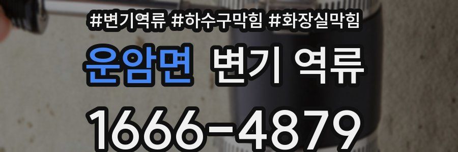 운암면 변기 역류