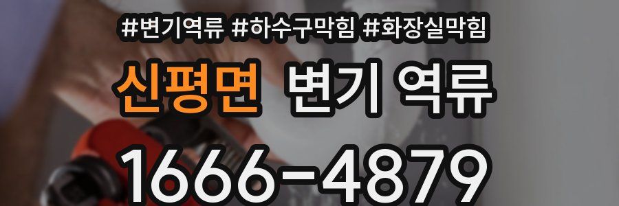 신평면 변기 역류