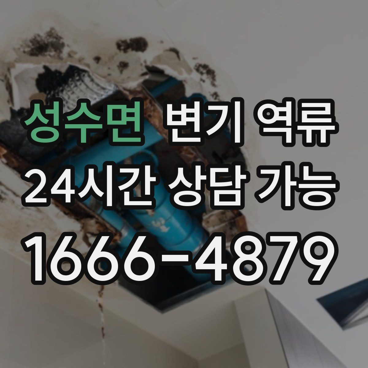 성수면 변기 역류 수건으로 막는 임시 조치가 위험한 이유