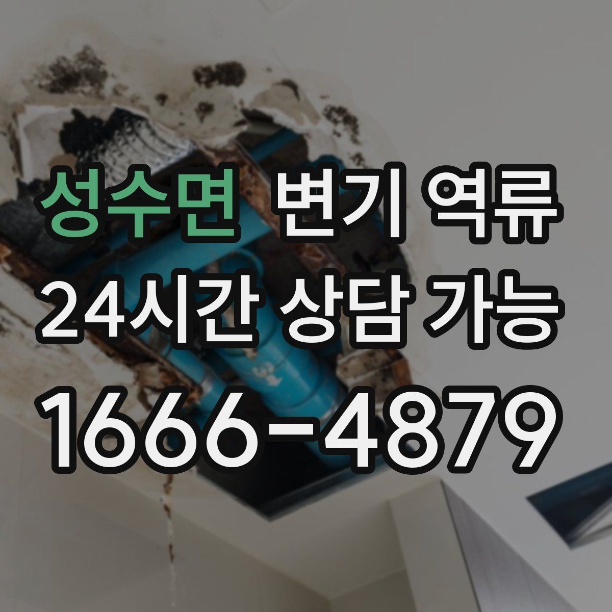 성수면 변기 역류