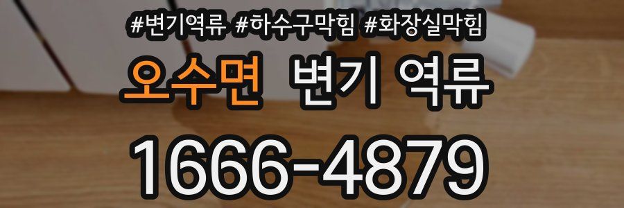 오수면 변기 역류