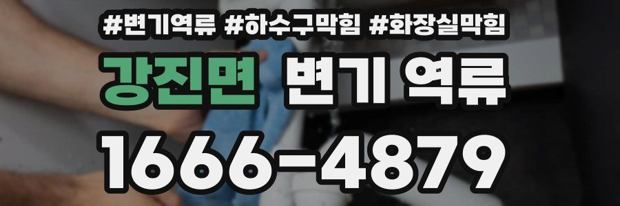 강진면 변기 역류