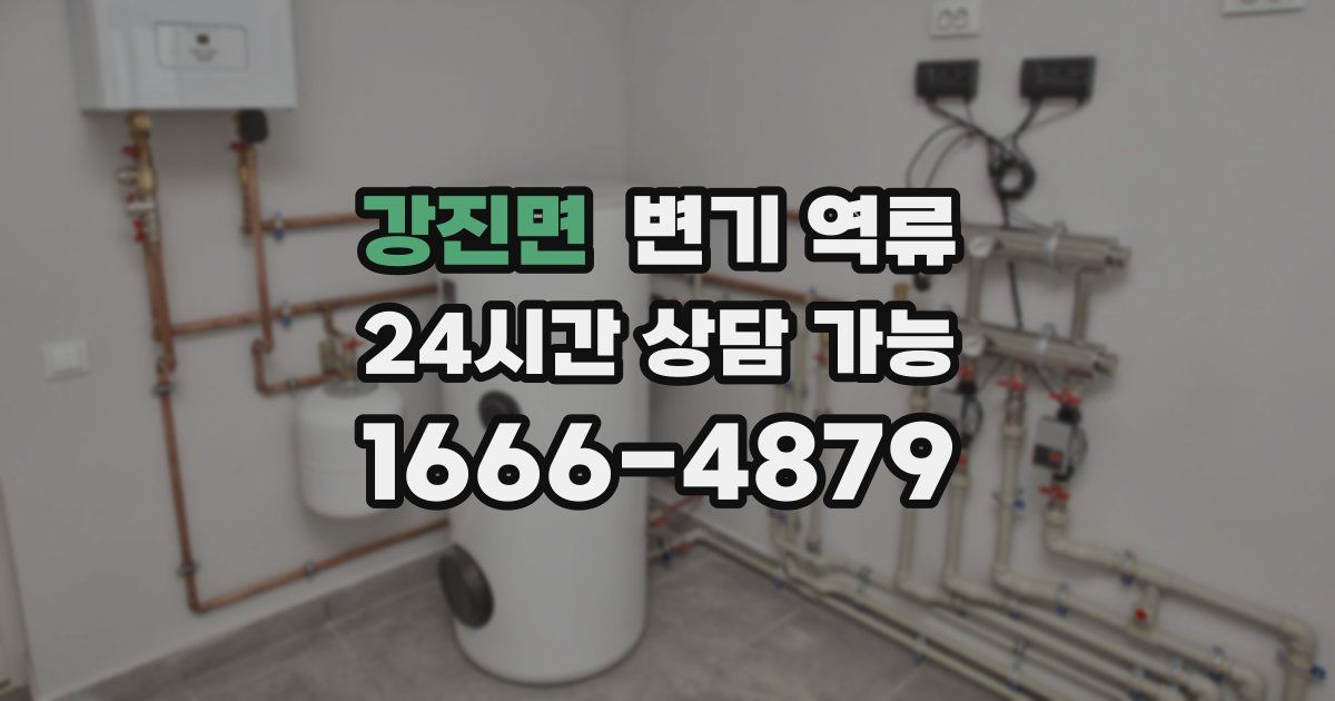 강진면 변기 역류