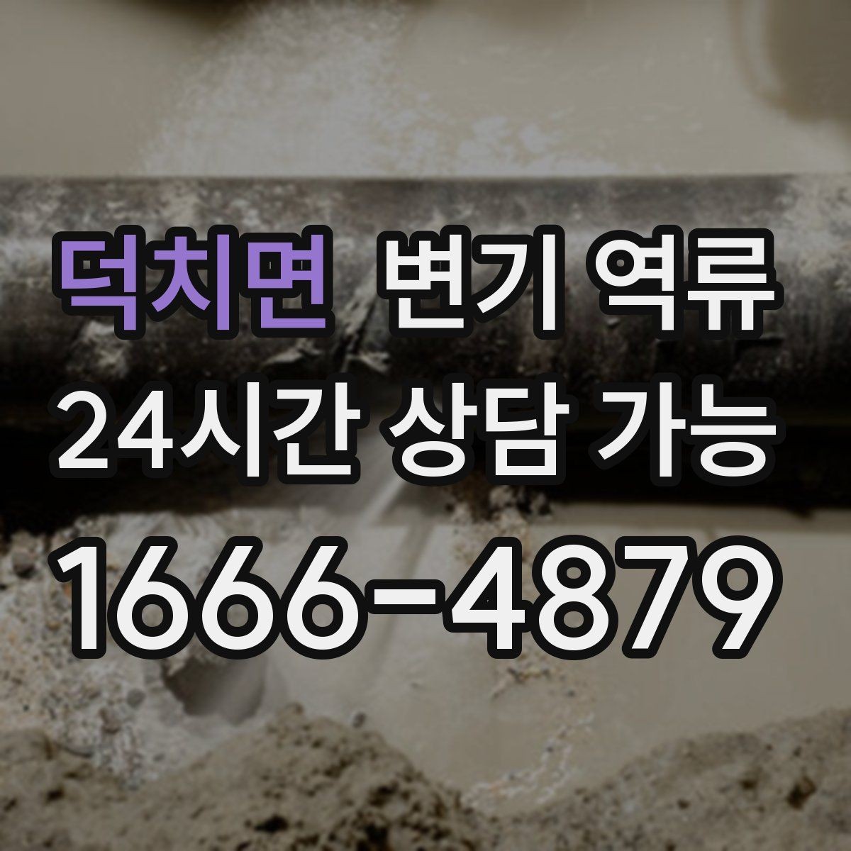 덕치면 변기 역류 같은 라인 세대까지 발생하면 어디를 의심할까