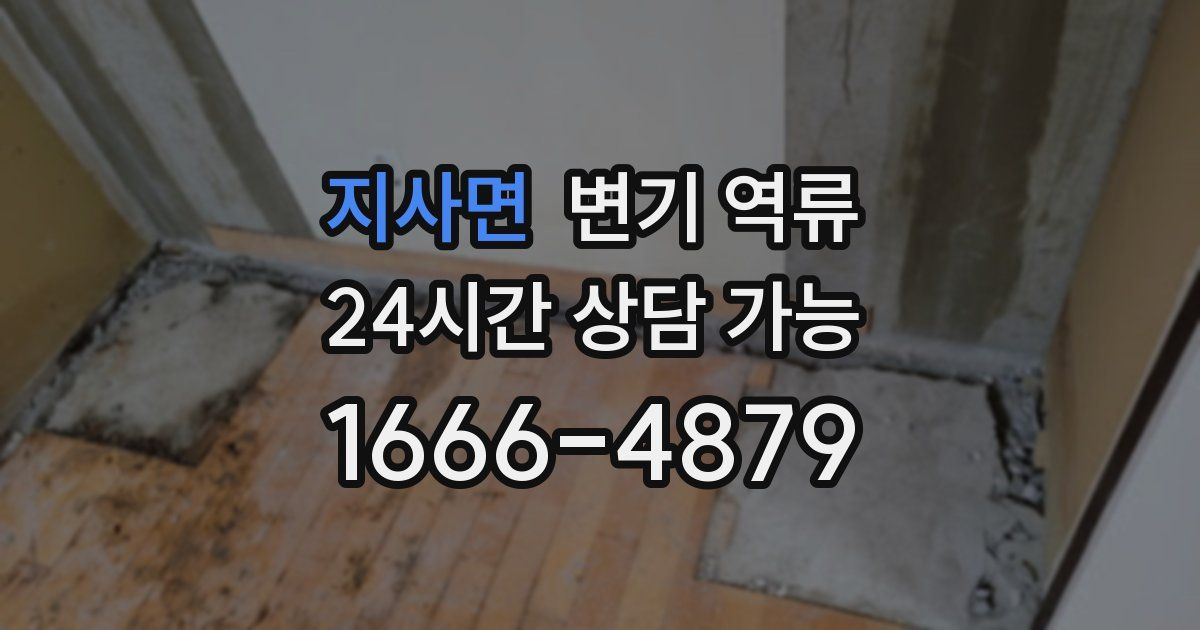 지사면 변기 역류