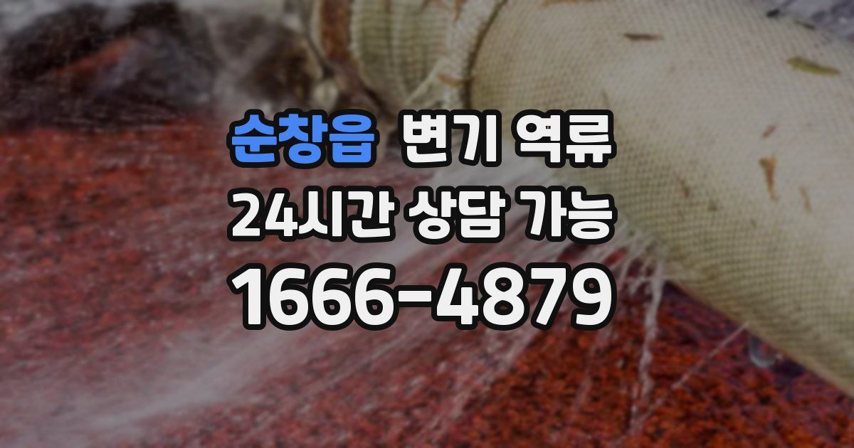 순창읍 변기 역류