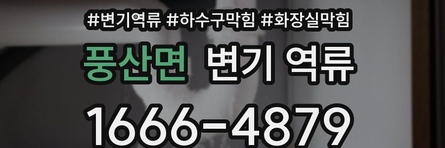 풍산면 변기 역류