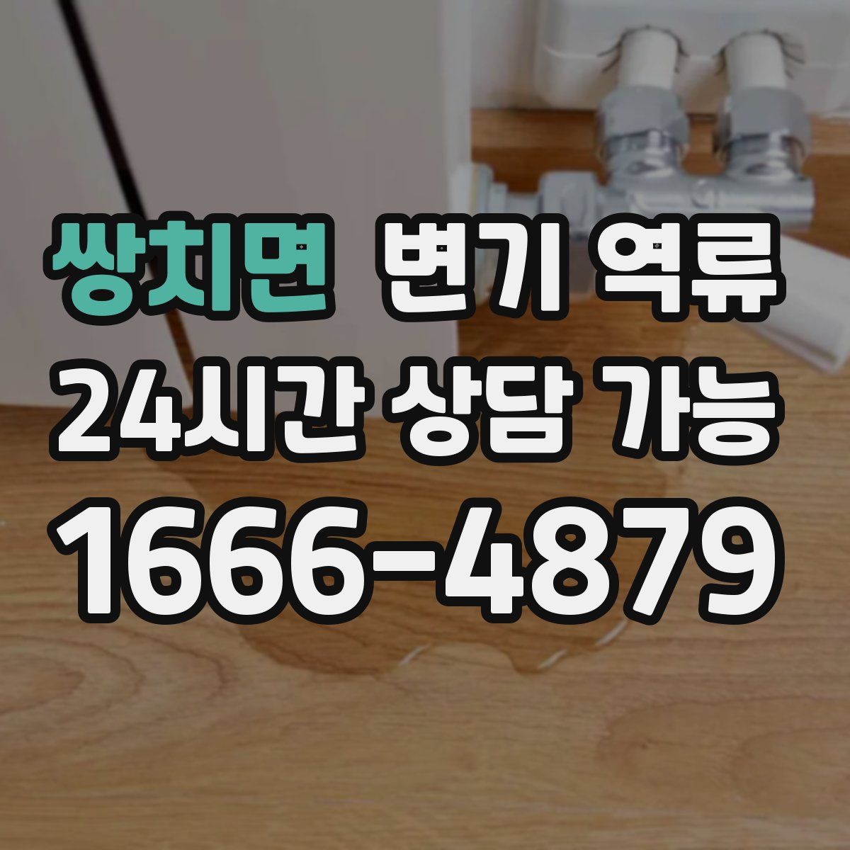 쌍치면 변기 역류