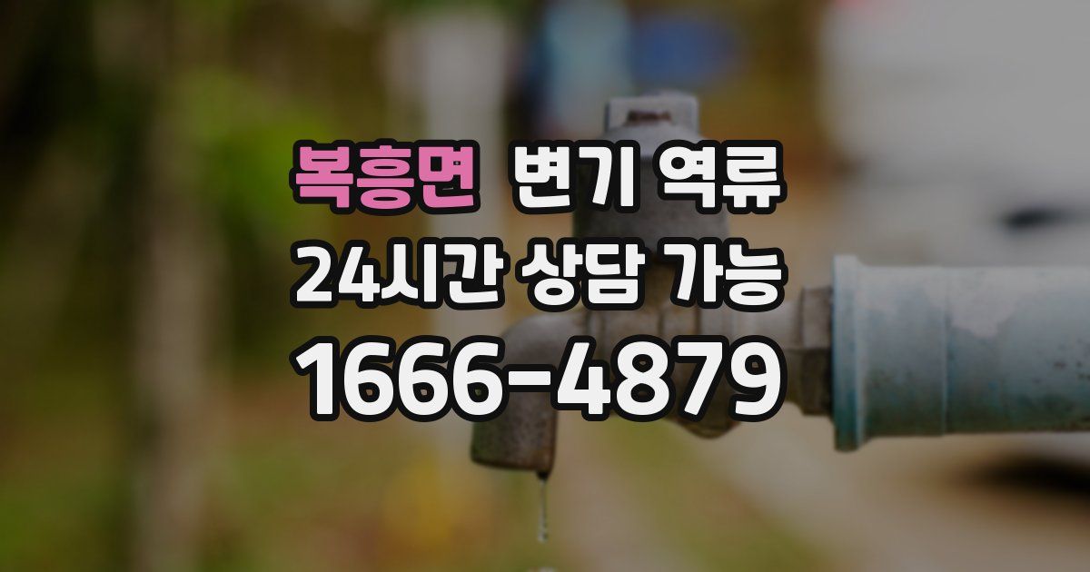 복흥면 변기 역류