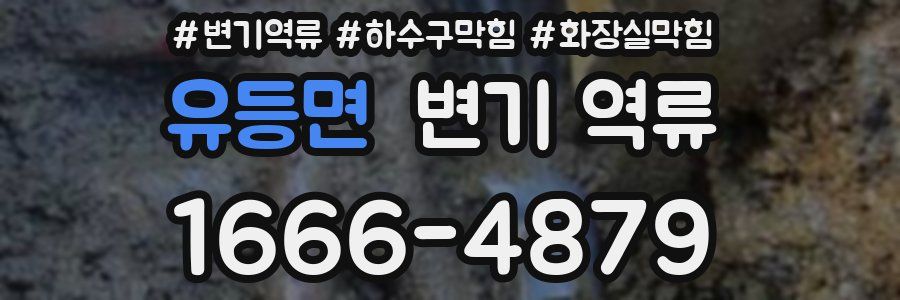 유등면 변기 역류