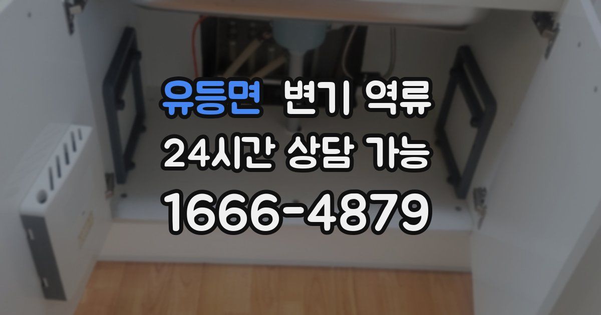 유등면 변기 역류