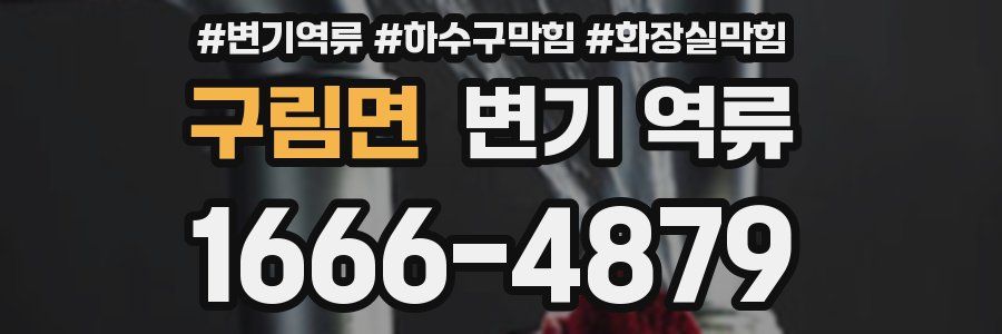 구림면 변기 역류