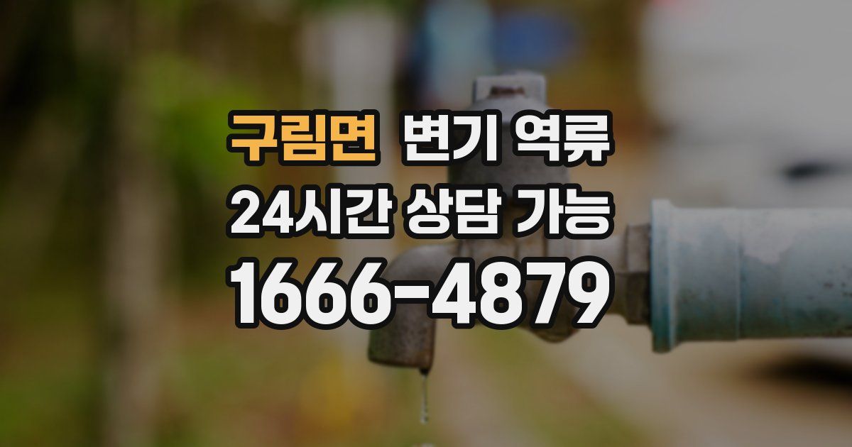 구림면 변기 역류