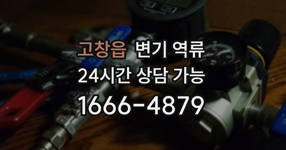 고창읍 변기 역류