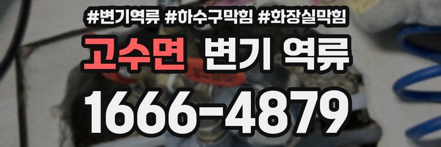 고수면 변기 역류