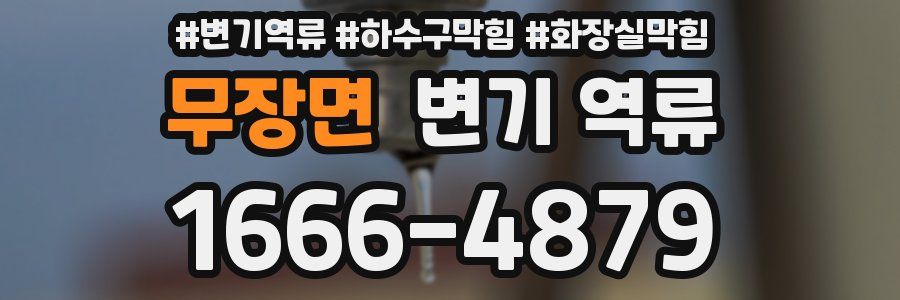 무장면 변기 역류