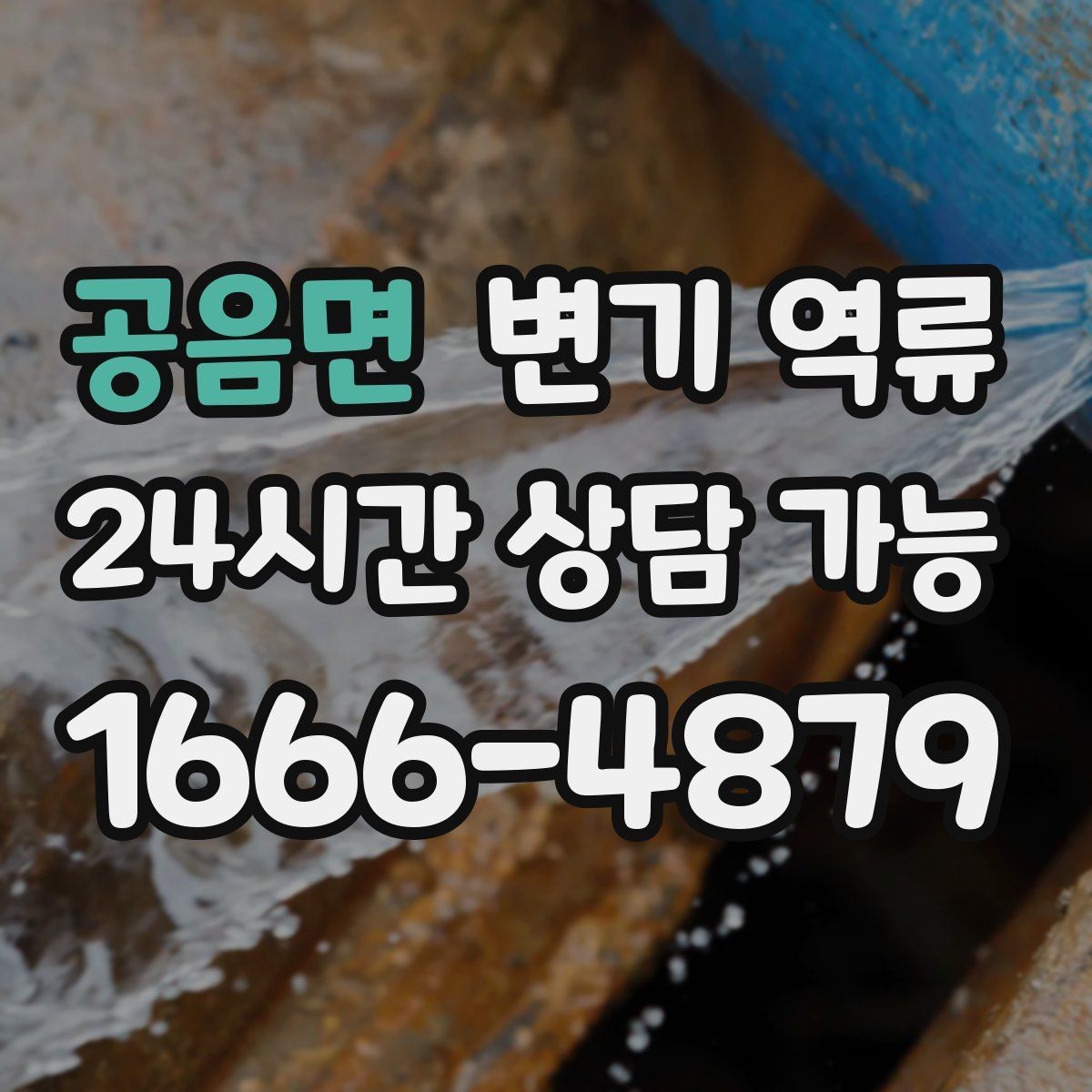 공음면 변기 역류 작은 물건이 걸렸을 때 나타나는 특징