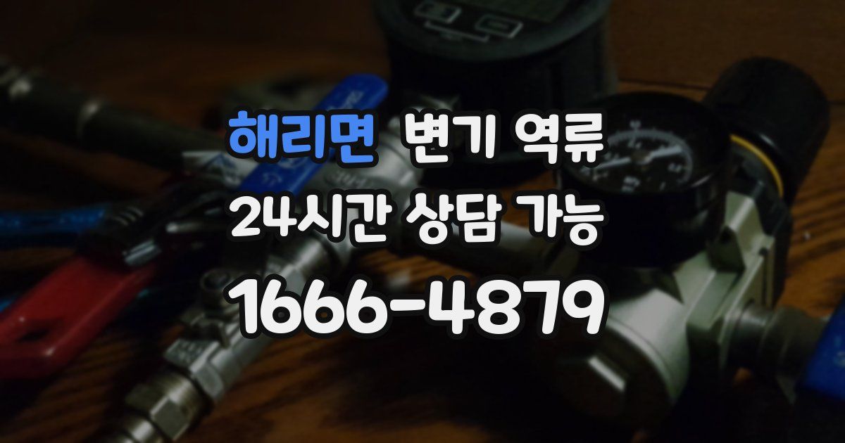 해리면 변기 역류