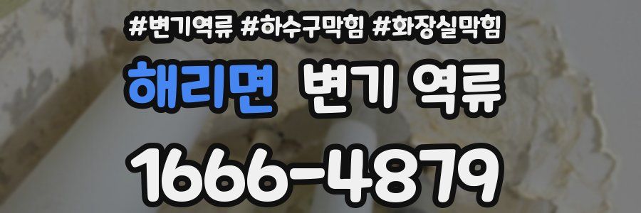 해리면 변기 역류