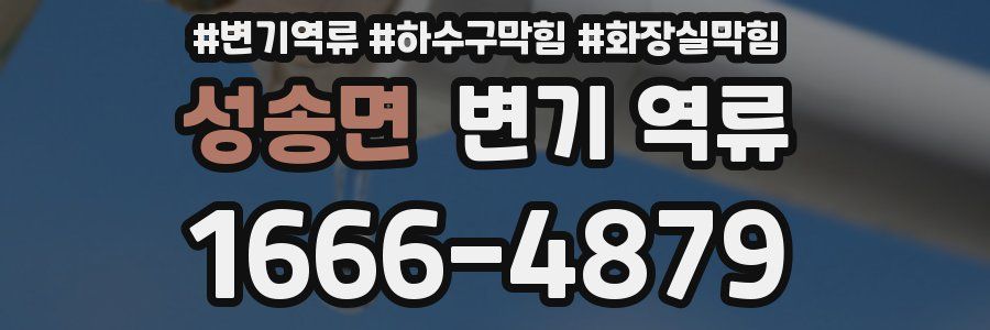 성송면 변기 역류