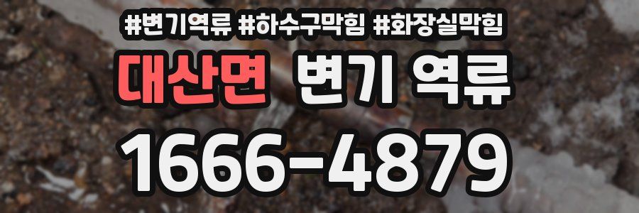 대산면 변기 역류