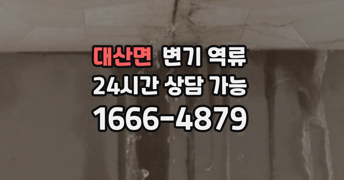 대산면 변기 역류