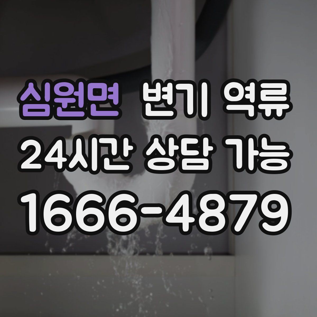 심원면 변기 역류 생리대·기저귀가 원인일 때 위험한 이유