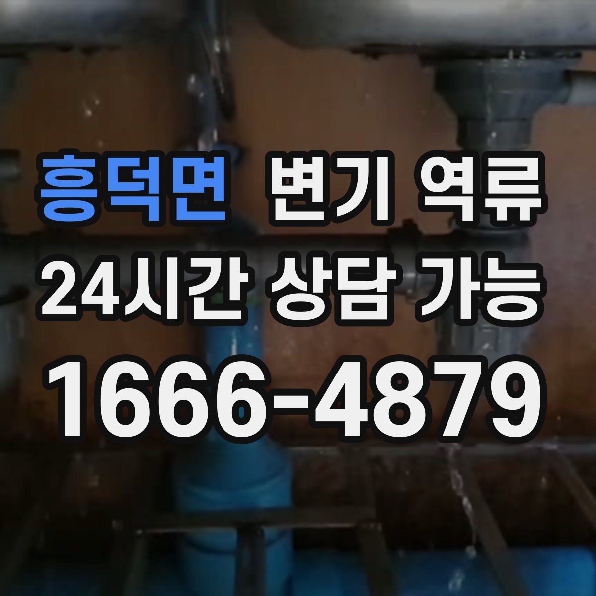 흥덕면 변기 역류 오염수 처리 후 마무리 점검 포인트