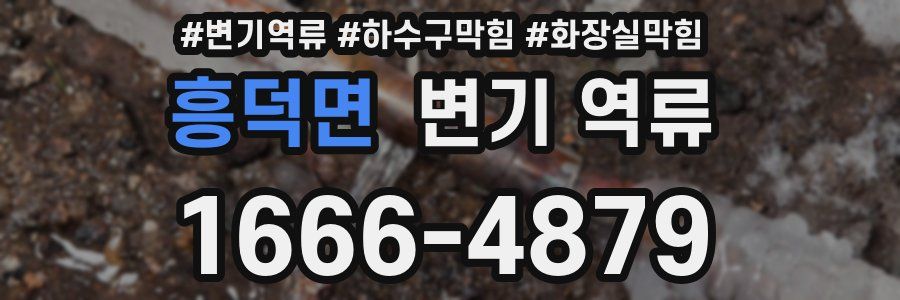 흥덕면 변기 역류