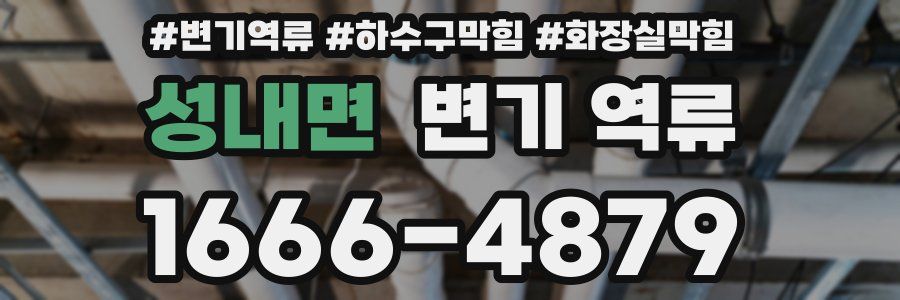 성내면 변기 역류