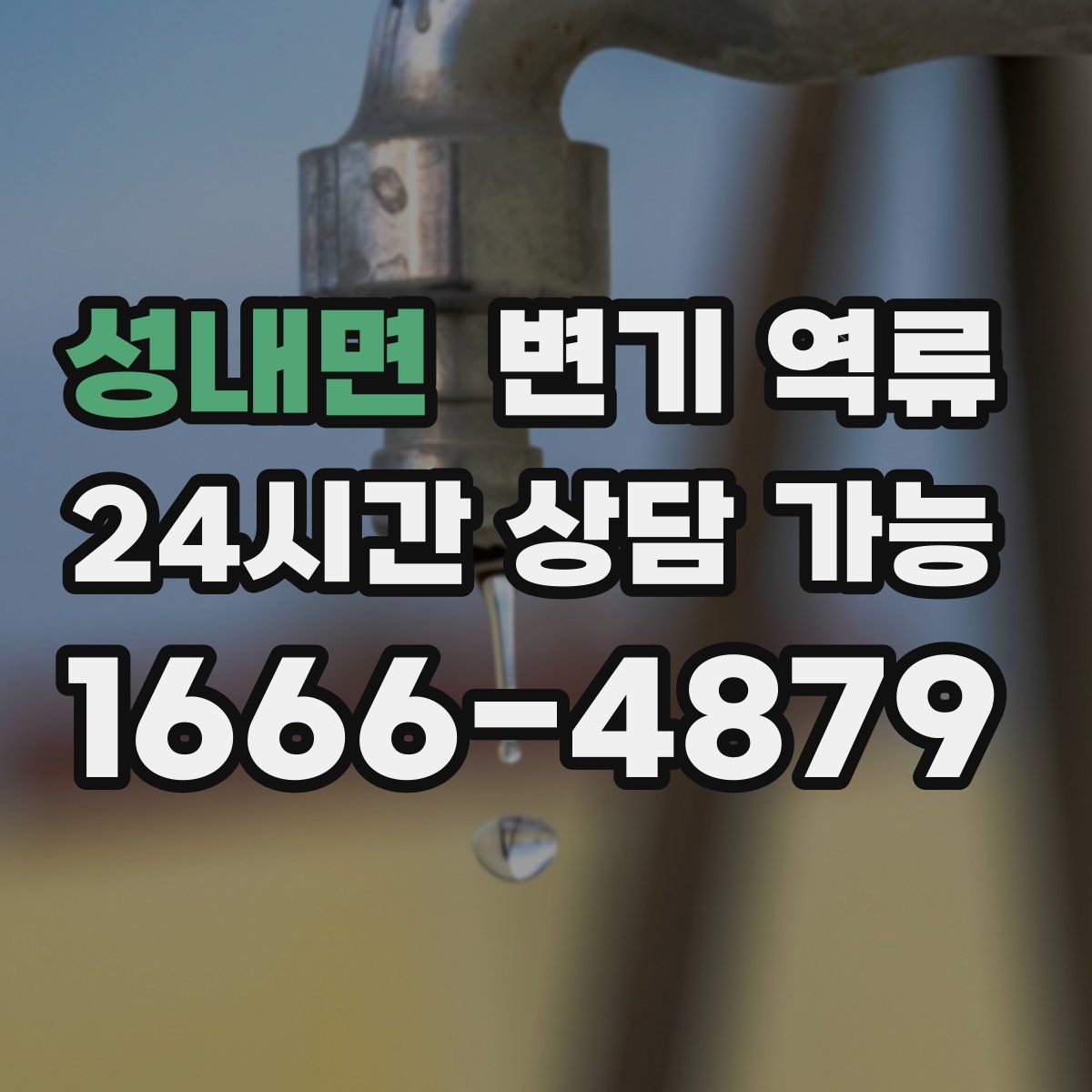 성내면 변기 역류