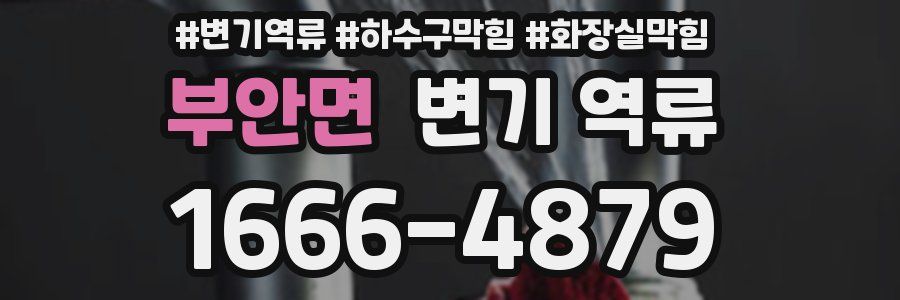 부안면 변기 역류