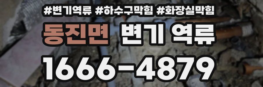 동진면 변기 역류