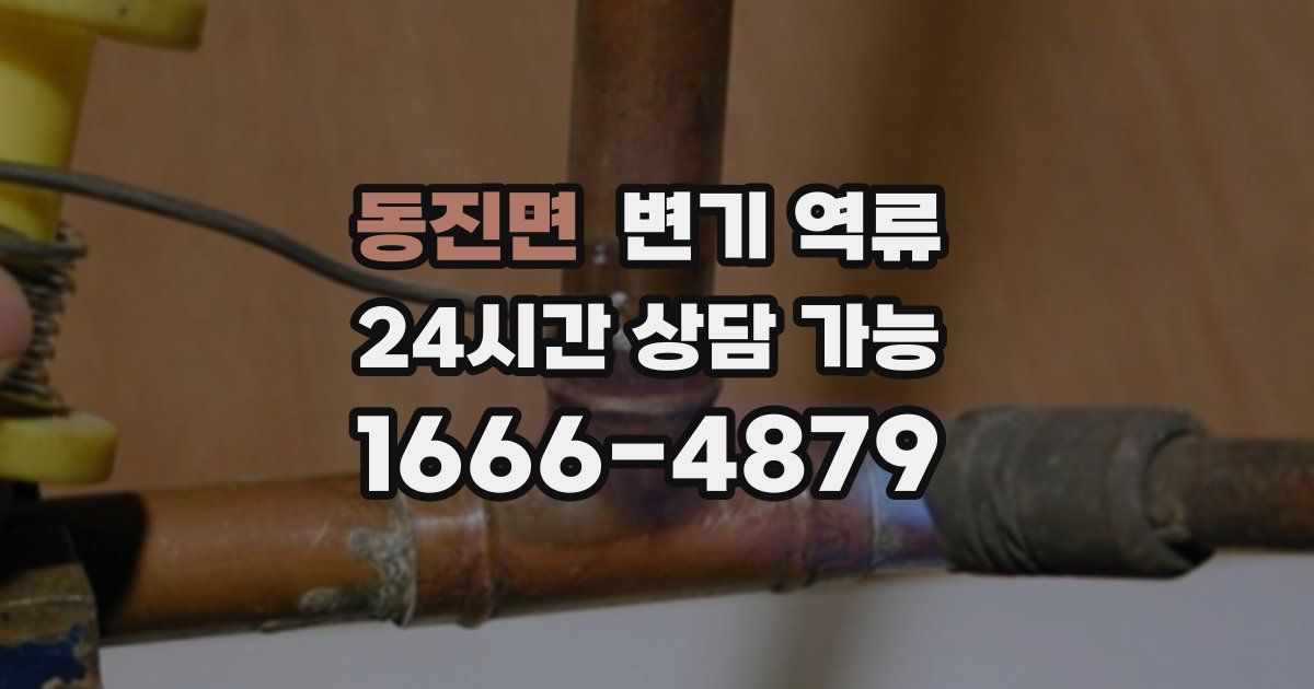 동진면 변기 역류