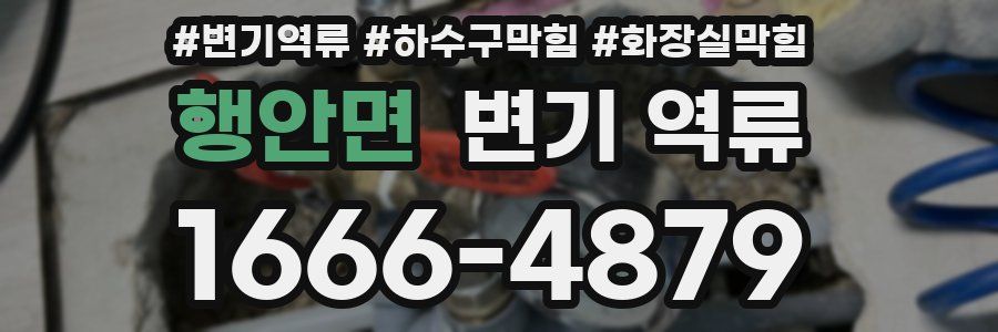 행안면 변기 역류