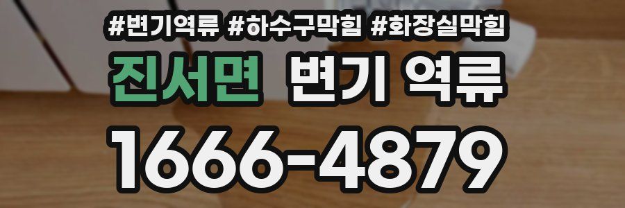 진서면 변기 역류