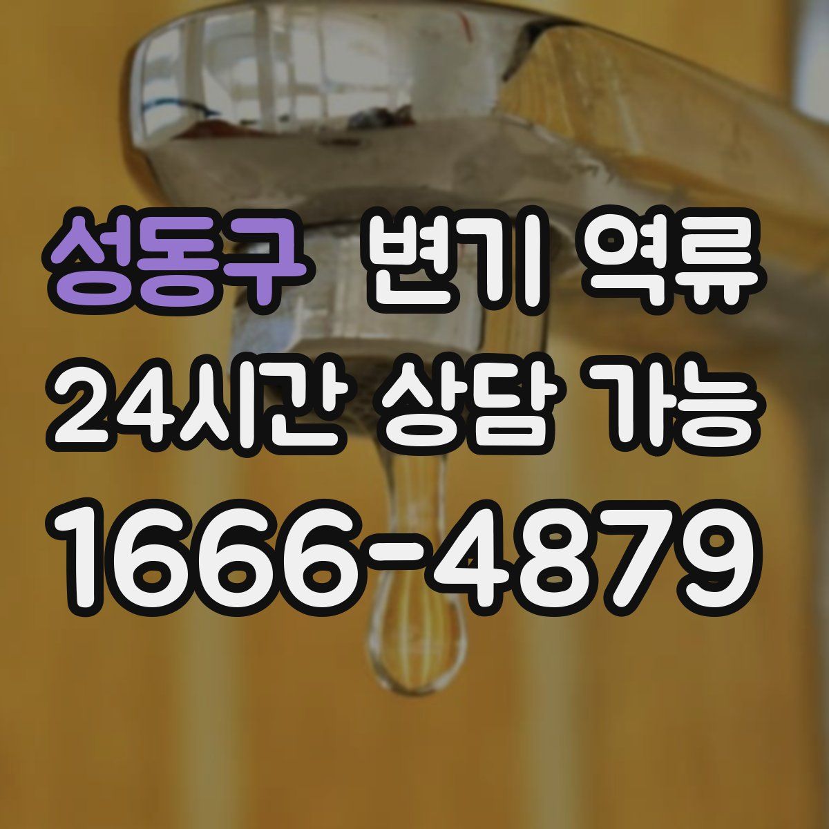 성동구 변기 역류