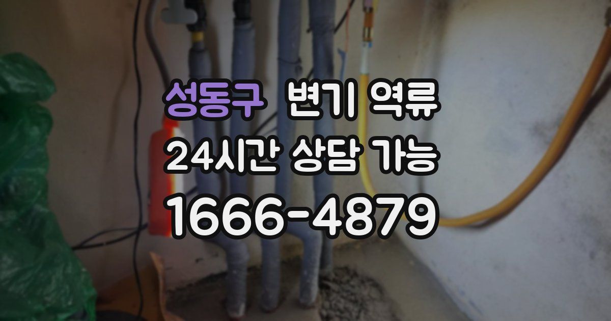 성동구 변기 역류