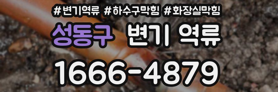 성동구 변기 역류