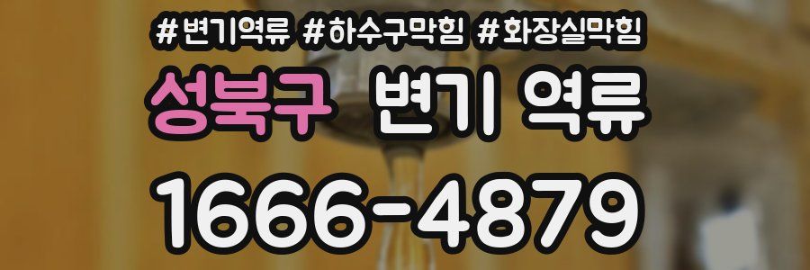 성북구 변기 역류