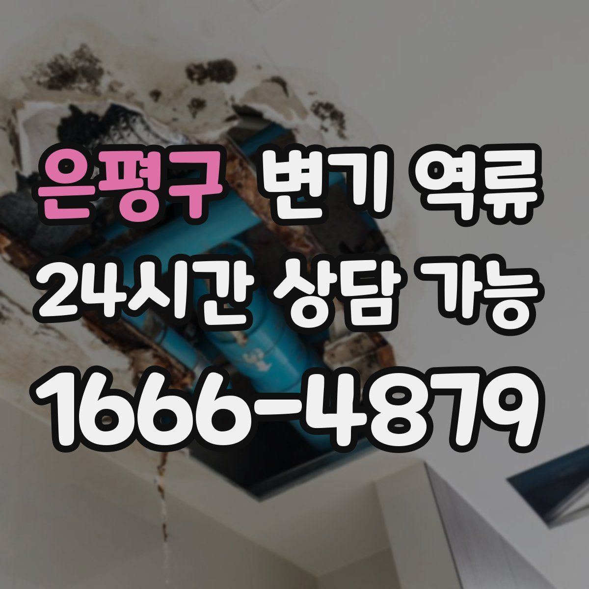 은평구 변기 역류