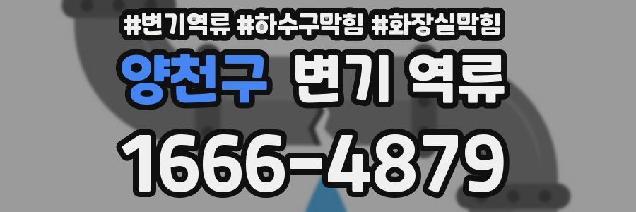 양천구 변기 역류