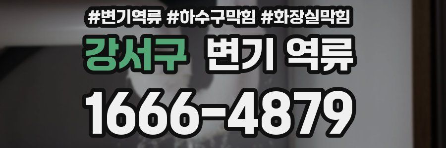 강서구 변기 역류