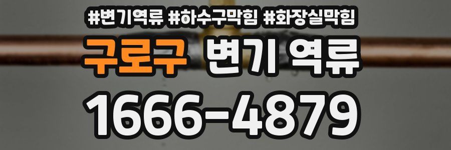 구로구 변기 역류