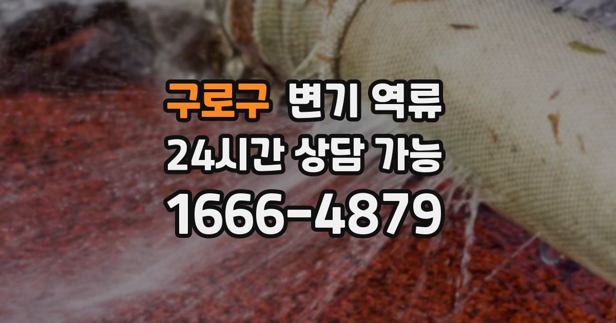 구로구 변기 역류